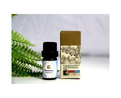 Rosemary essential öl Herb Basics, 5 ml