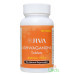 Ashwagandha Jiva, 120 tabletten