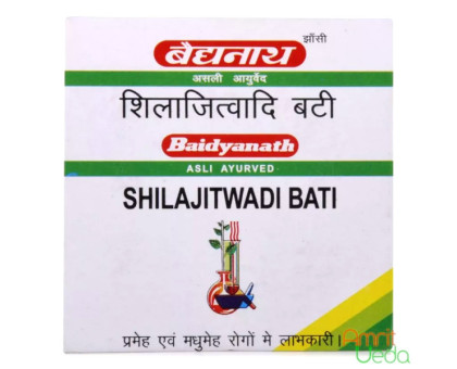 Shilajitwadi vati Baidyanath (Shilajitwadi bati Baidyanath), 20 tabletten