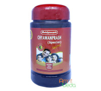 Chyawanprash Special, 500 gramm