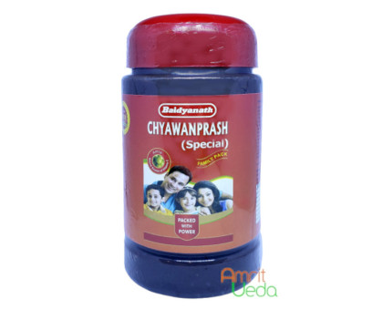 Chyawanprash Special Baidyanath, 500 gramm