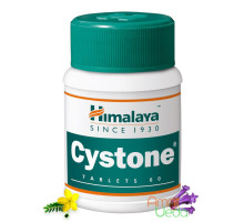 Cystone, 60 tabletten