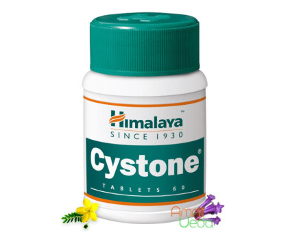 Cystone Himalaya, 60 tabletten