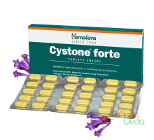 Cystone Forte, 60 tabletten