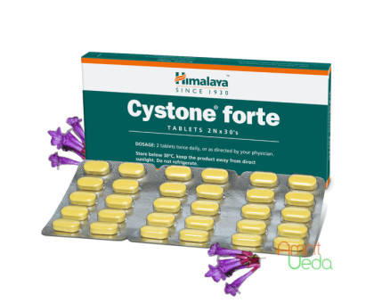 Cystone Forte Himalaya, 60 tabletten