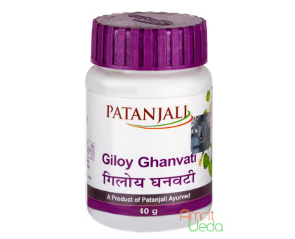 Giloy Patanjali, 60 tabletten