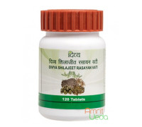 Shilajeet Rasayan vati, 120 tabletten