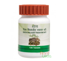 Shilajeet Rasayan vati, 120 tabletten