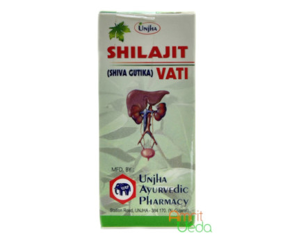 Shilajit vati Unjha, 40 tabletten - 10 gramm