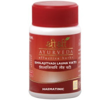 Shilajitvadi Lauh vati, 60 tabletten