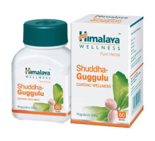 Shuddha Guggul, 60 tabletten - 15 gramm